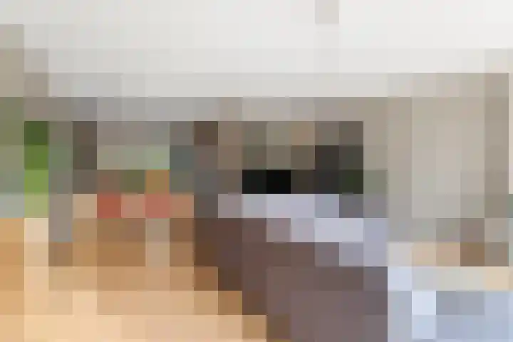 Timmersteek 2 Almere thumbnail 10
