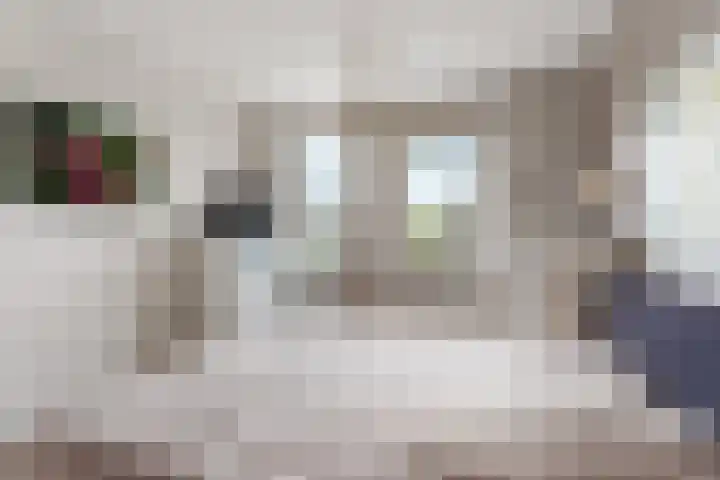 Timmersteek 2 Almere thumbnail 24