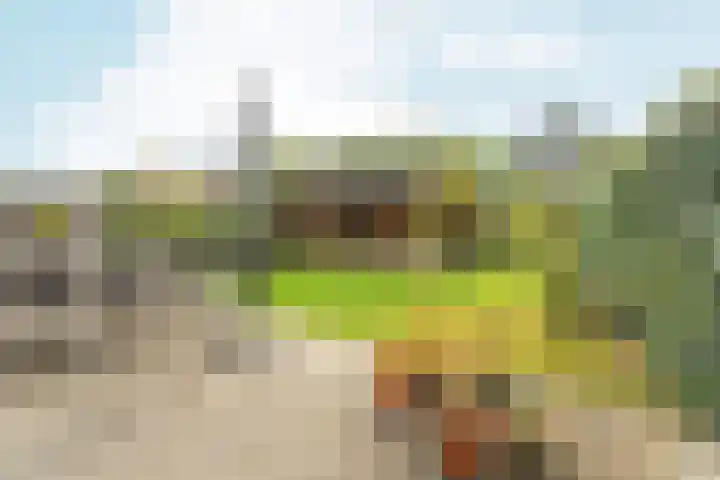 Timmersteek 2 Almere thumbnail 36