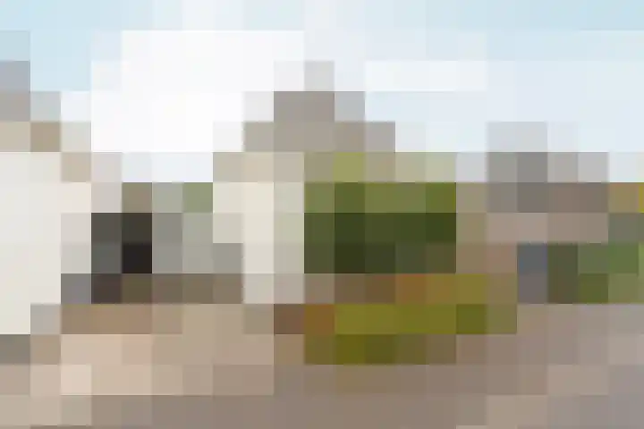 Timmersteek 2 Almere thumbnail 42