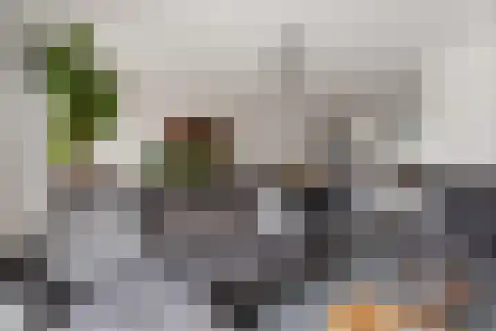 Timmersteek 20 Almere thumbnail 12