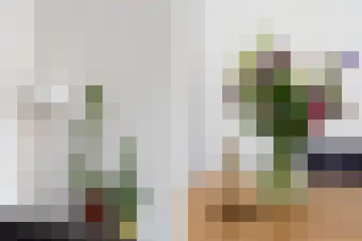Timmersteek 20 Almere thumbnail 13