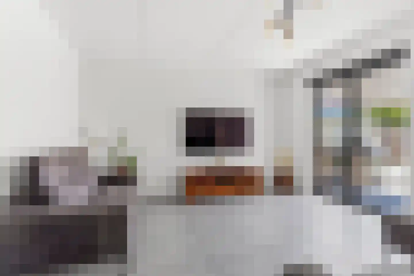 Timmersteek 20 Almere thumbnail 13