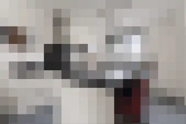 Timmersteek 20 Almere thumbnail 14
