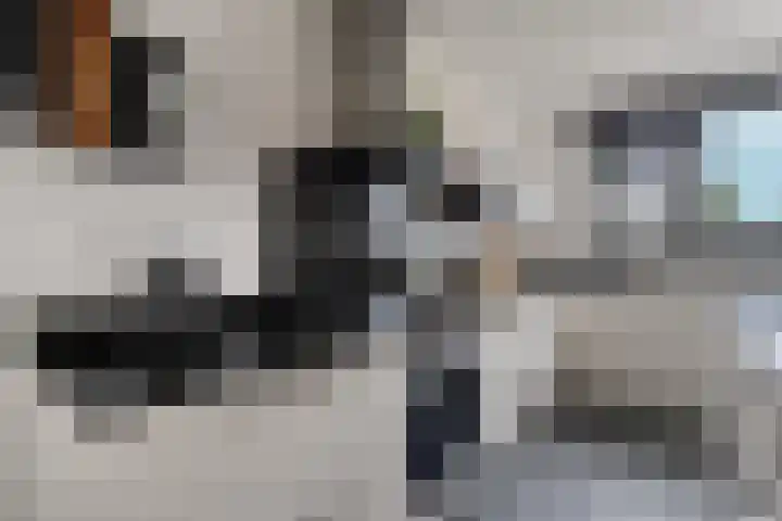 Timmersteek 20 Almere thumbnail 15