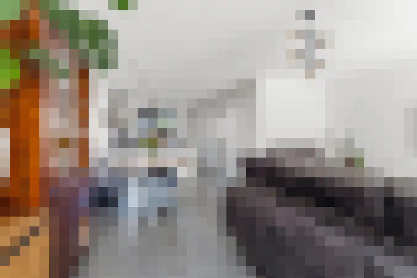 Timmersteek 20 Almere thumbnail 15
