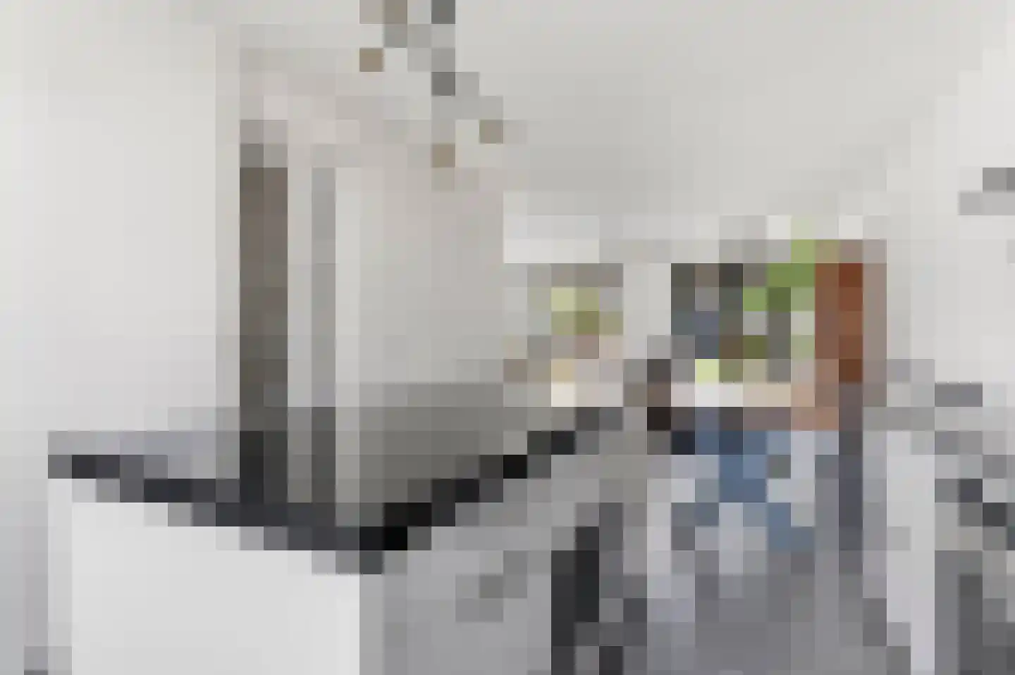 Timmersteek 20 Almere thumbnail 18