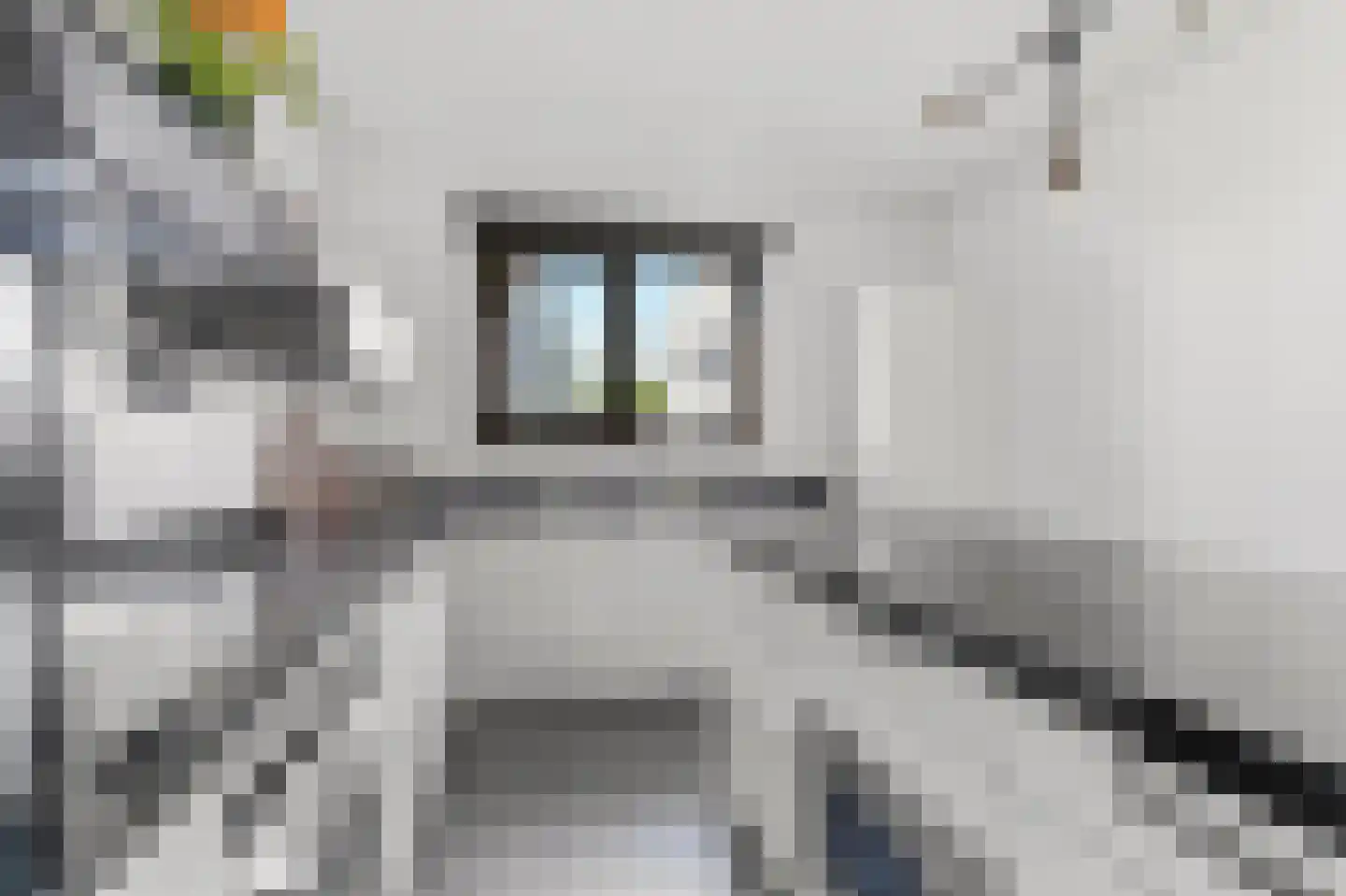 Timmersteek 20 Almere thumbnail 21