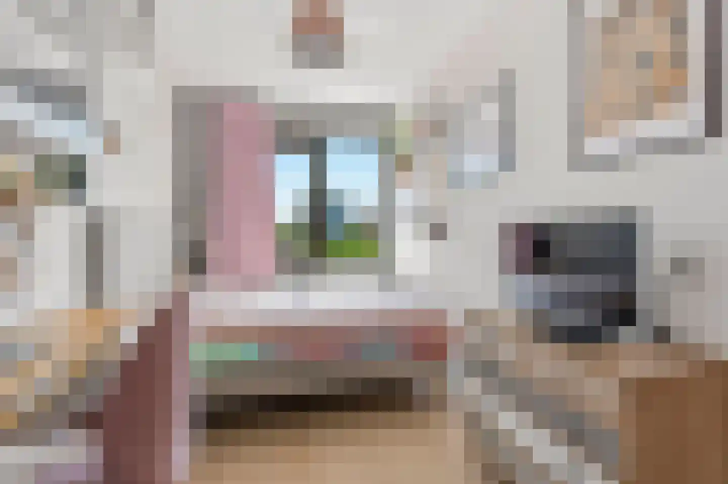 Timmersteek 20 Almere thumbnail 26
