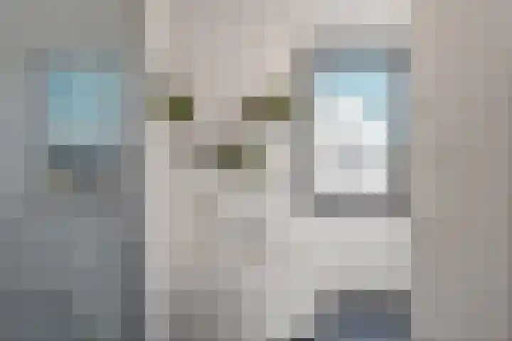 Timmersteek 20 Almere thumbnail 27