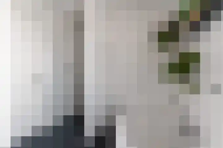 Timmersteek 20 Almere thumbnail 30