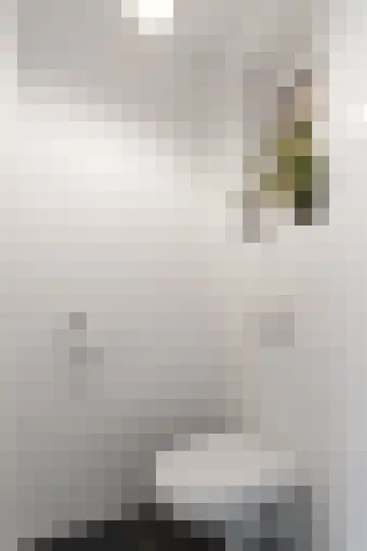 Timmersteek 20 Almere thumbnail 31