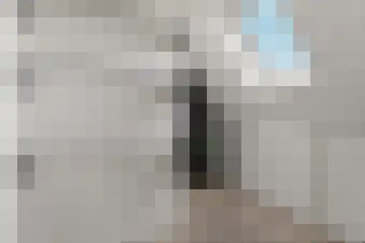 Timmersteek 20 Almere thumbnail 32