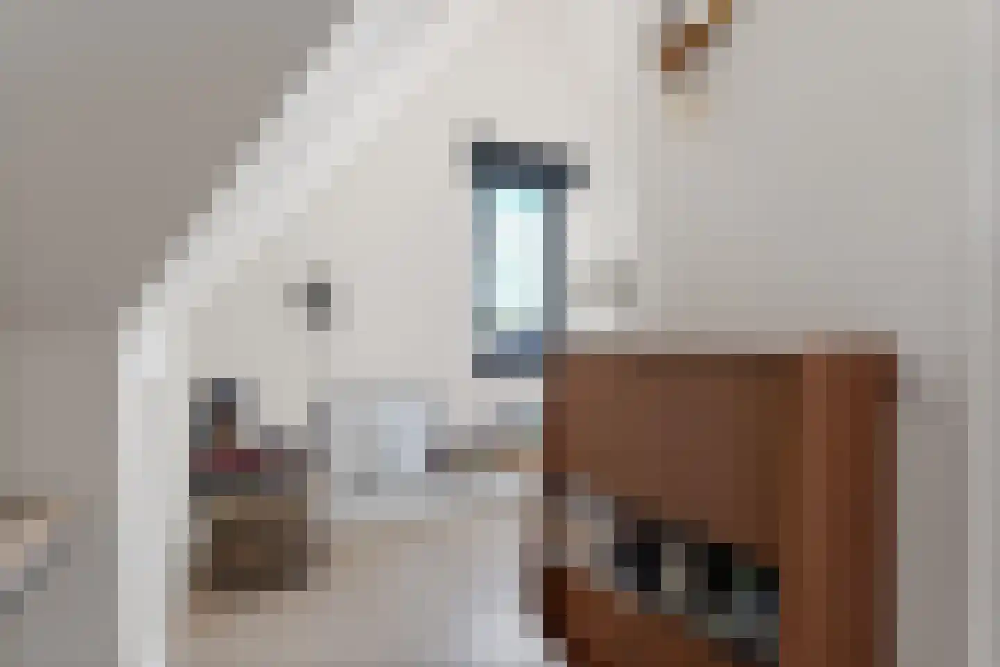 Timmersteek 20 Almere thumbnail 36