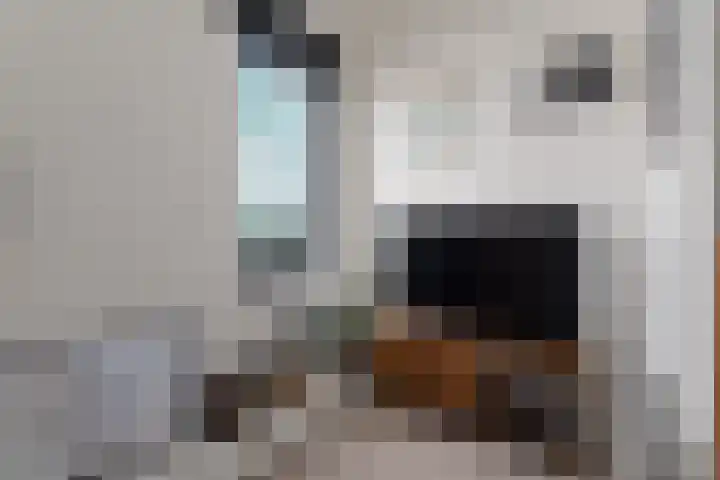 Timmersteek 20 Almere thumbnail 38