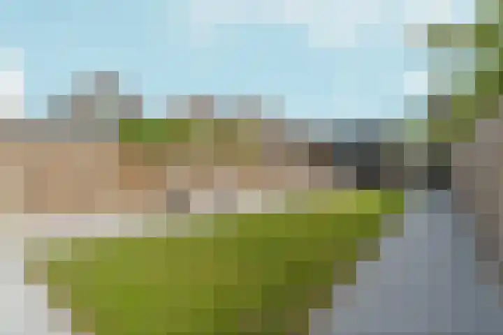 Timmersteek 20 Almere thumbnail 40