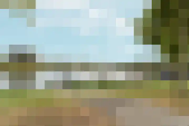 Timmersteek 20 Almere thumbnail 45