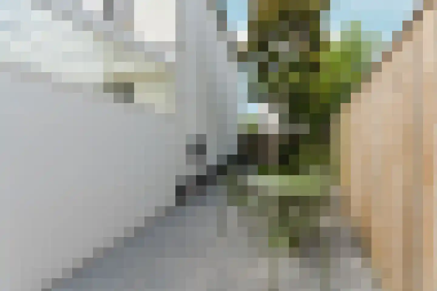 Timmersteek 20 Almere thumbnail 49