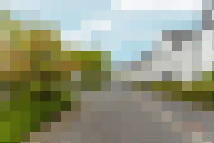 Timmersteek 20 Almere thumbnail 7