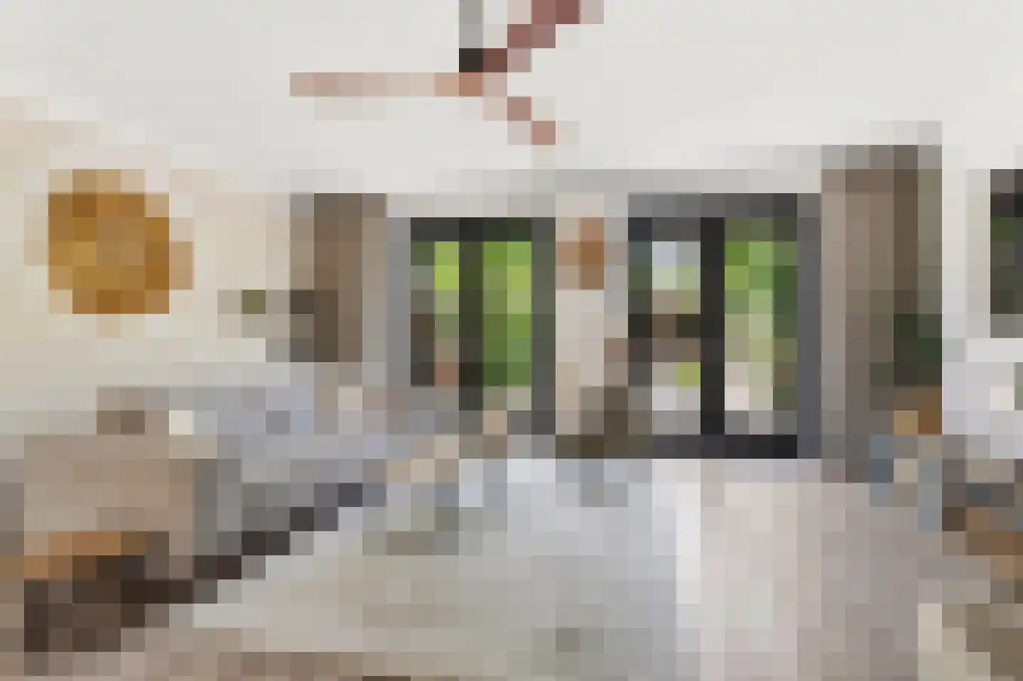 Timmersteek 21 Almere thumbnail 10