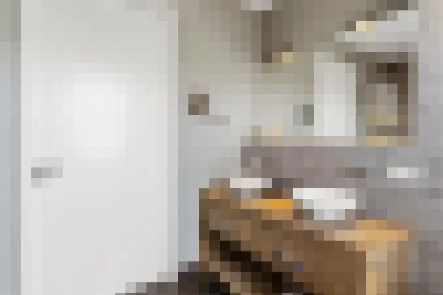 Timmersteek 21 Almere thumbnail 31