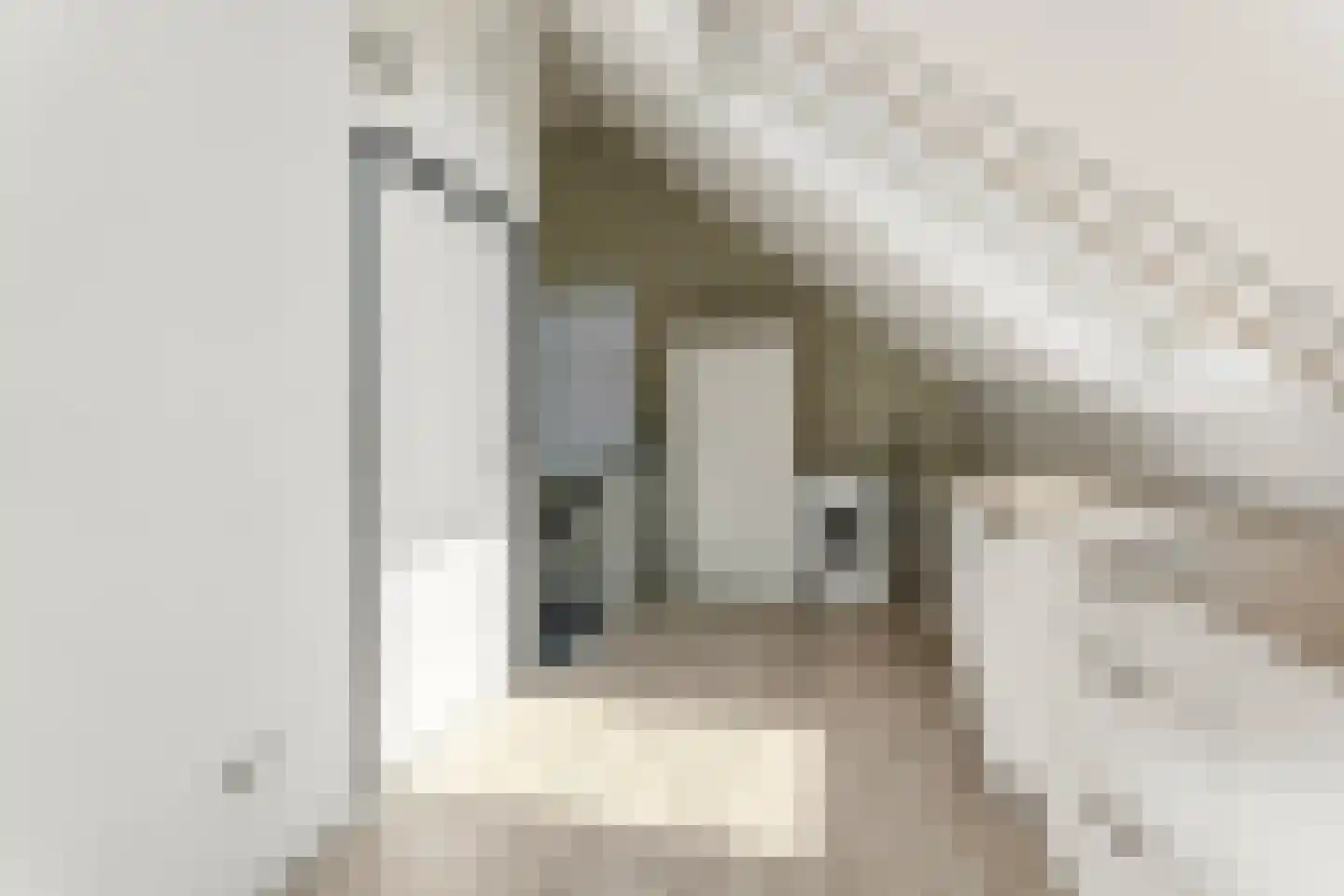 Timmersteek 21 Almere thumbnail 37