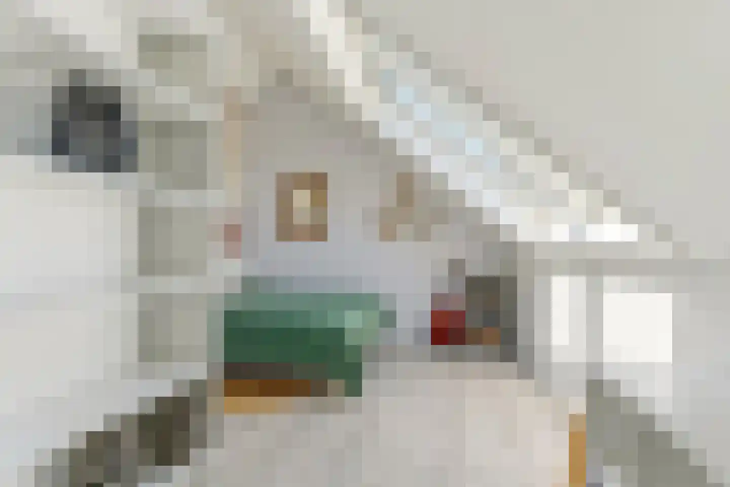 Timmersteek 21 Almere thumbnail 39