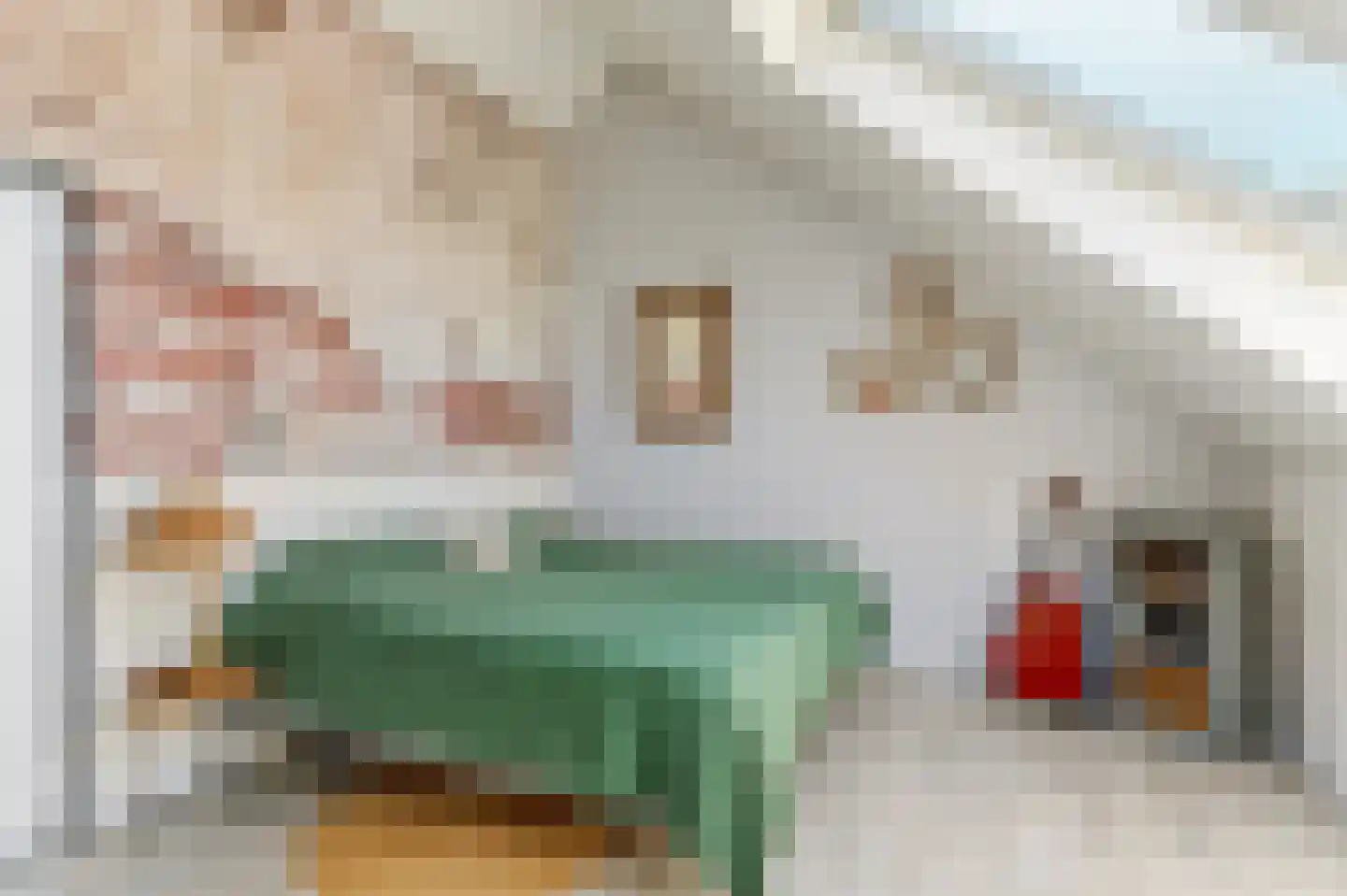 Timmersteek 21 Almere thumbnail 40