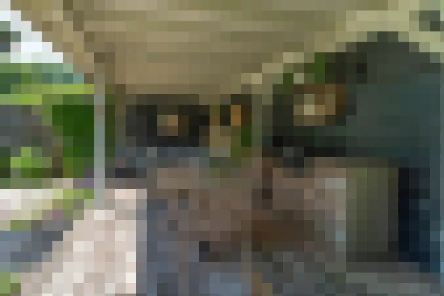 Timmersteek 21 Almere thumbnail 48