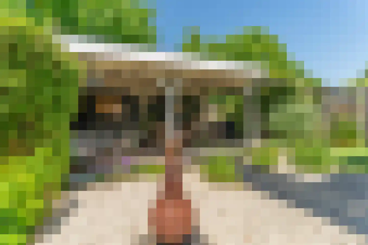 Timmersteek 21 Almere thumbnail 6