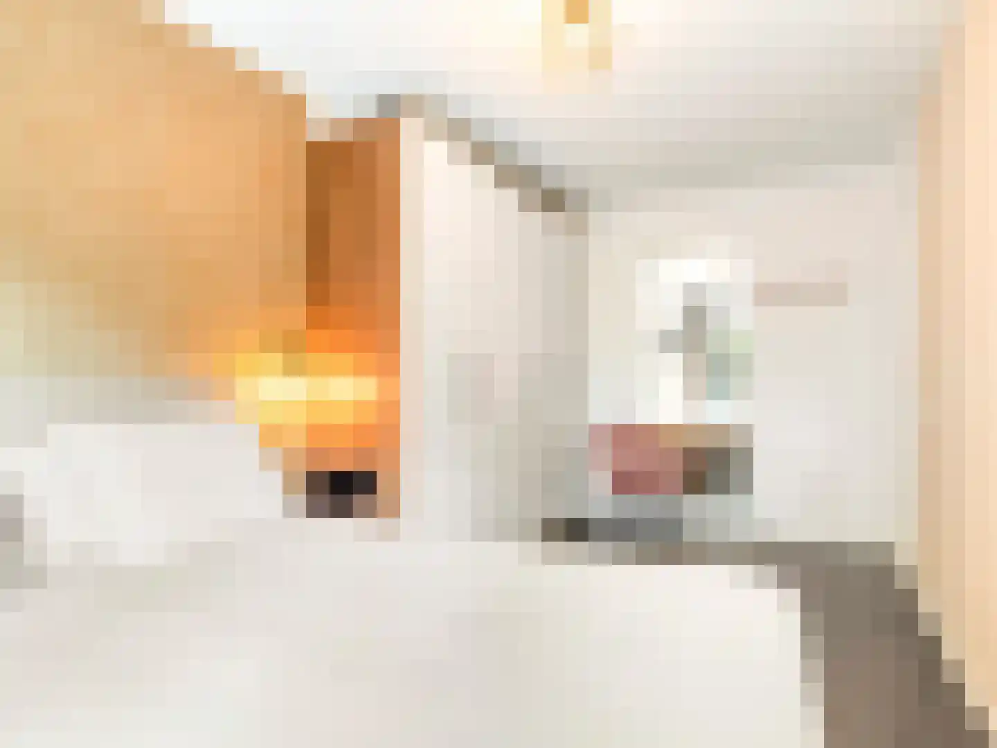 Timmerstraat 29 Utrecht thumbnail 25