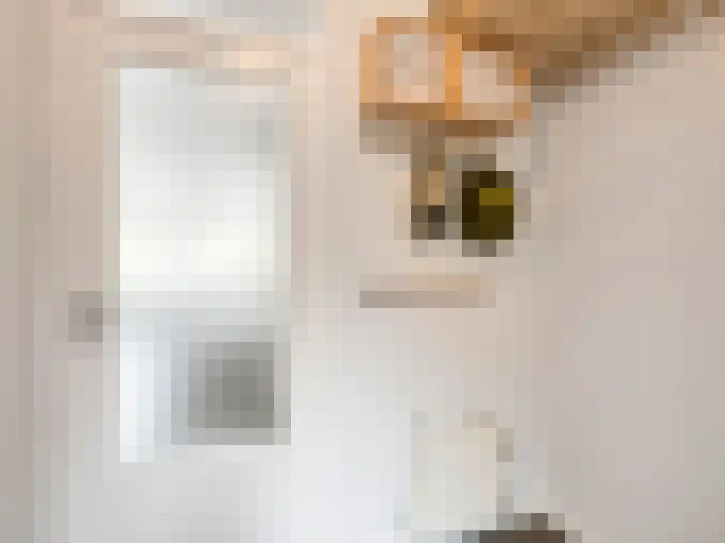 Timmerstraat 29 Utrecht thumbnail 42