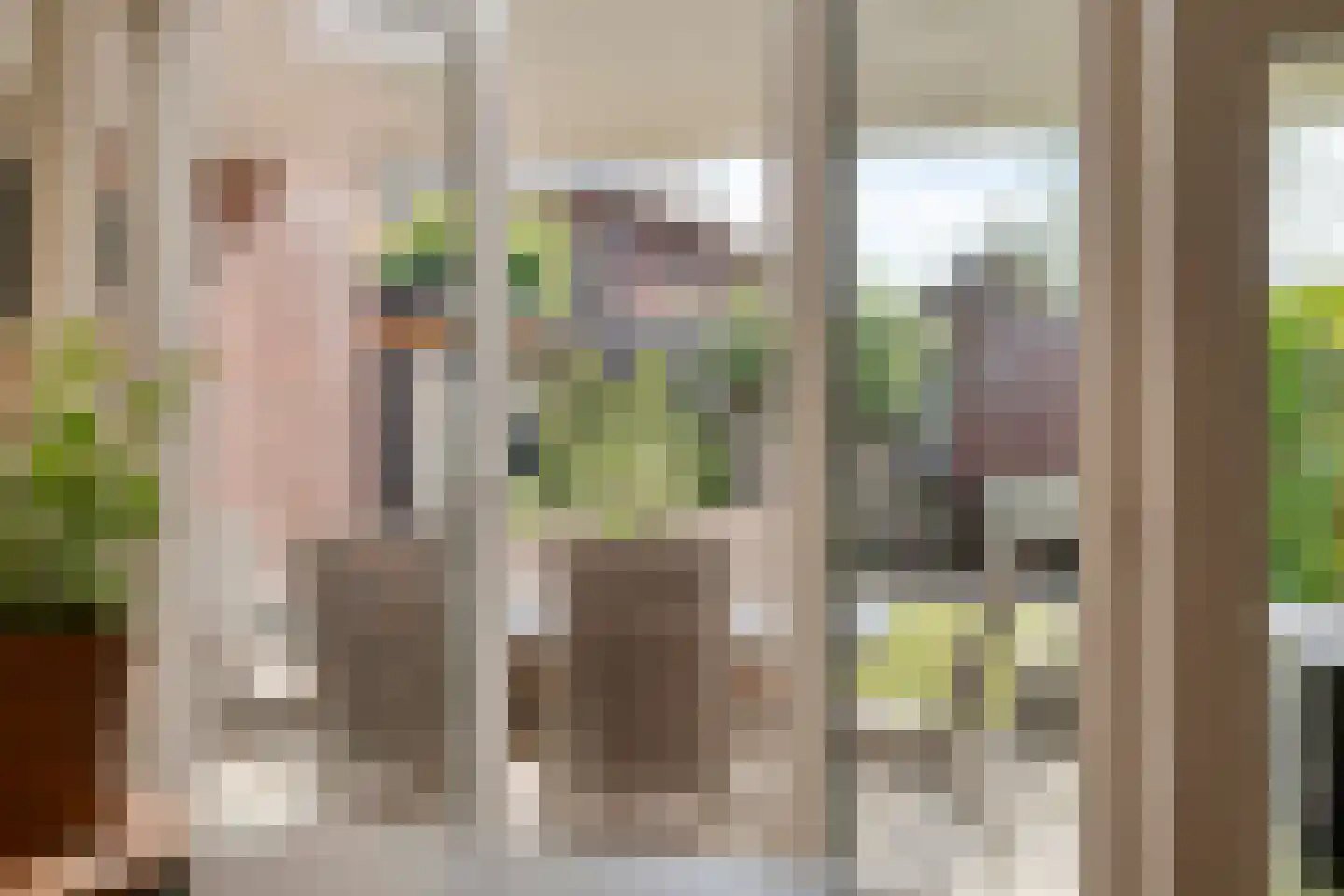Timmusboer 3 Ootmarsum thumbnail 12
