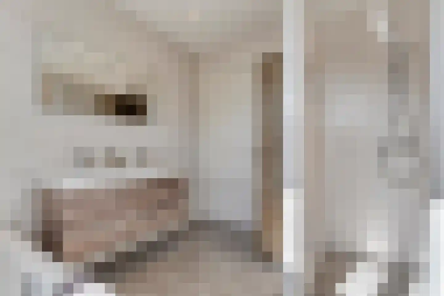 Timmusboer 3 Ootmarsum thumbnail 21