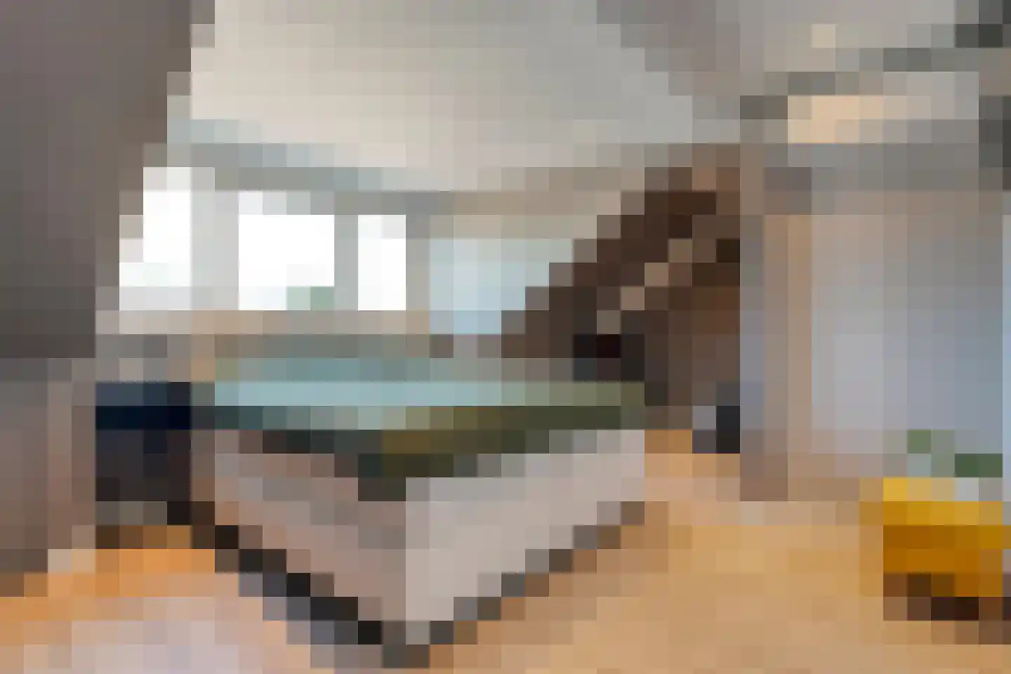 Timmusboer 3 Ootmarsum thumbnail 24