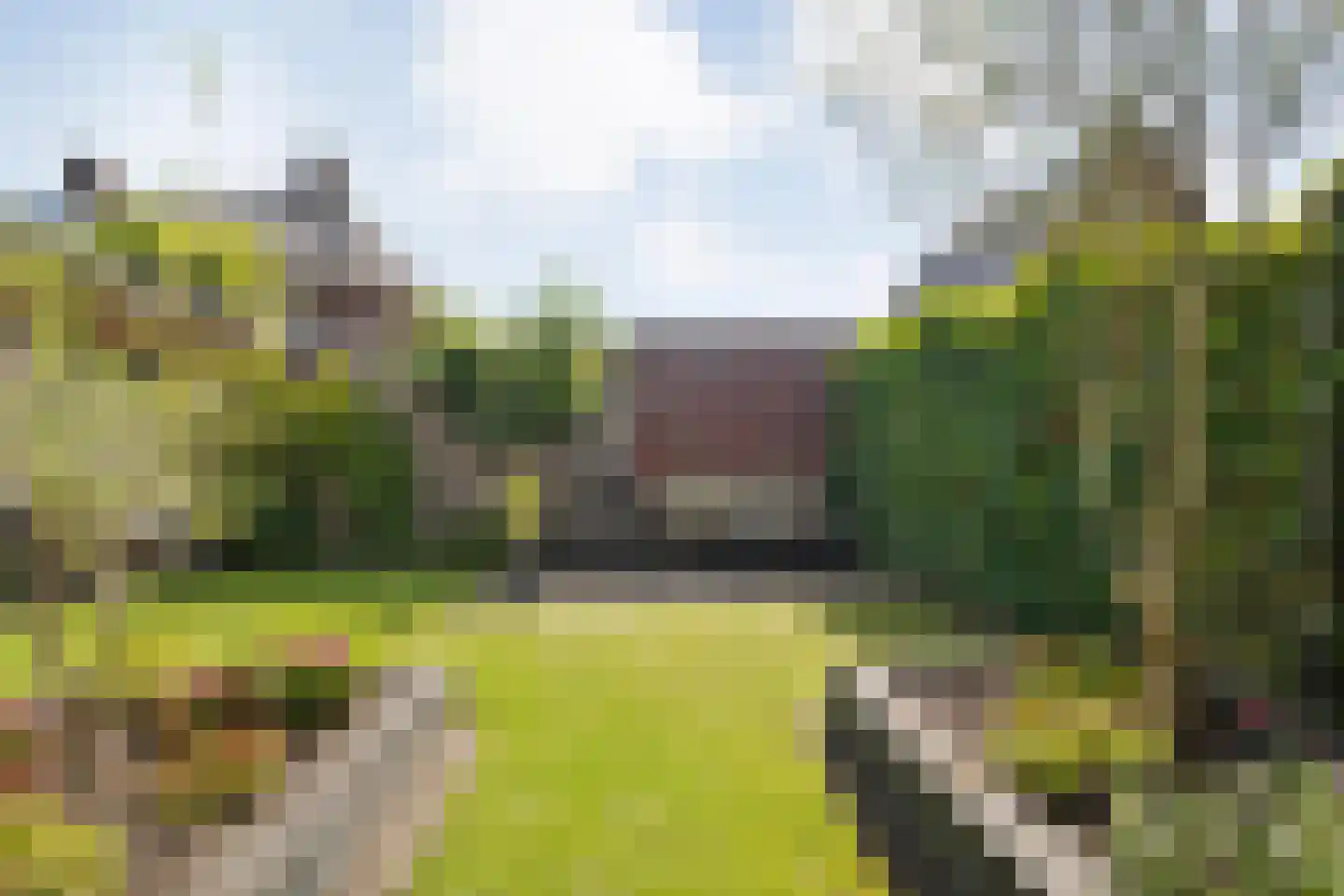 Timmusboer 3 Ootmarsum thumbnail 27