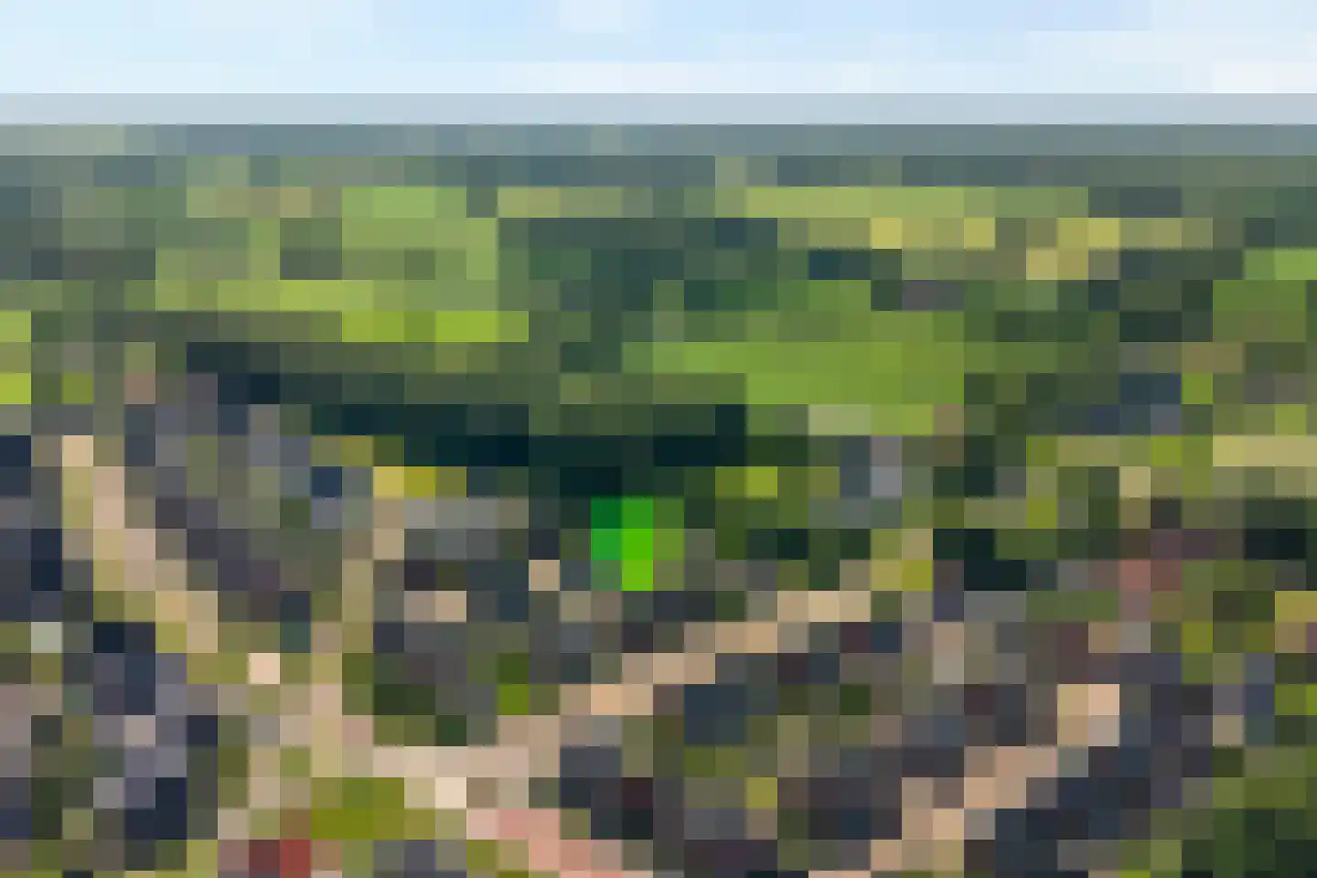 Timmusboer 3 Ootmarsum thumbnail 31