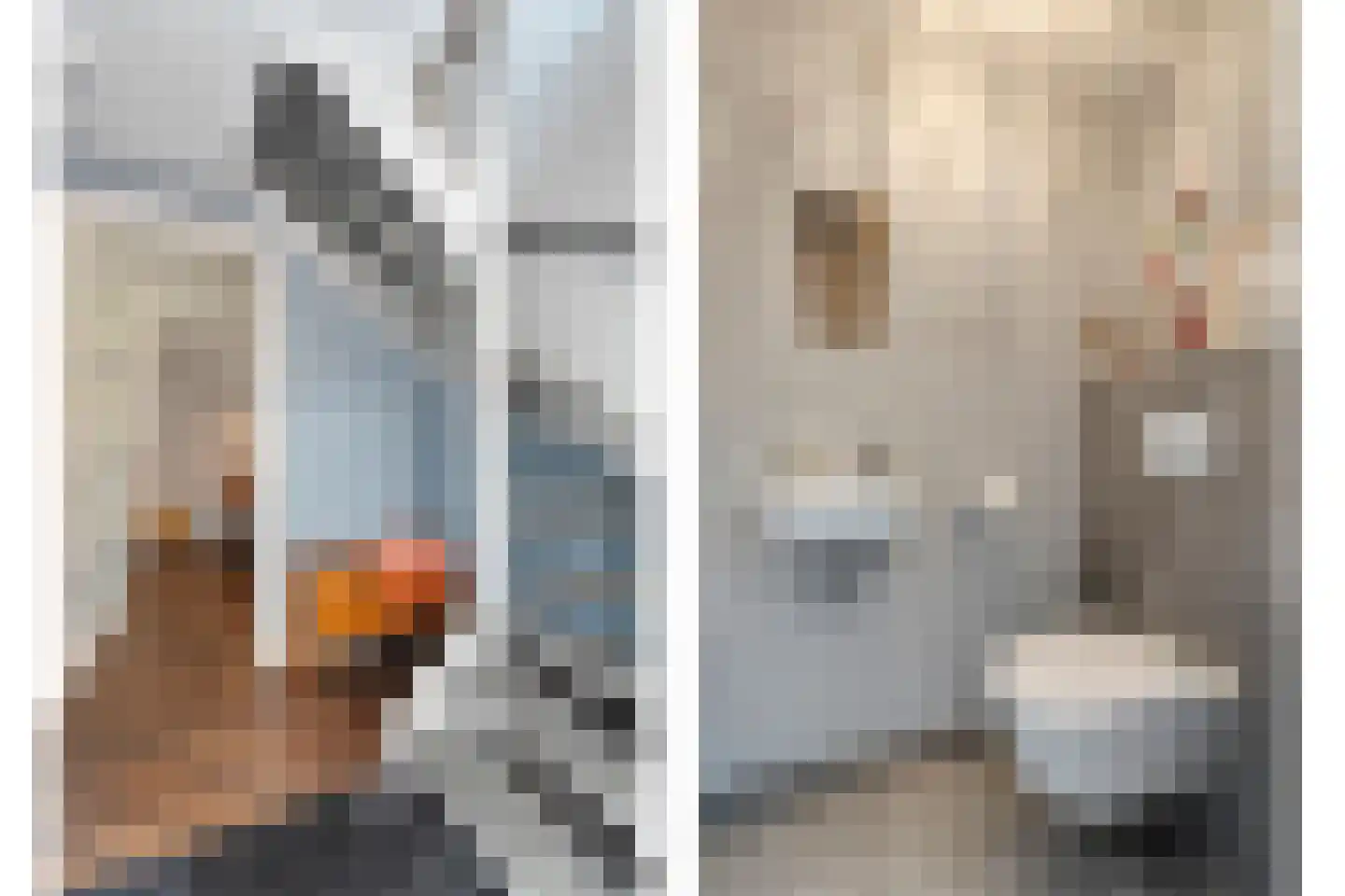 Timmusboer 3 Ootmarsum thumbnail 4