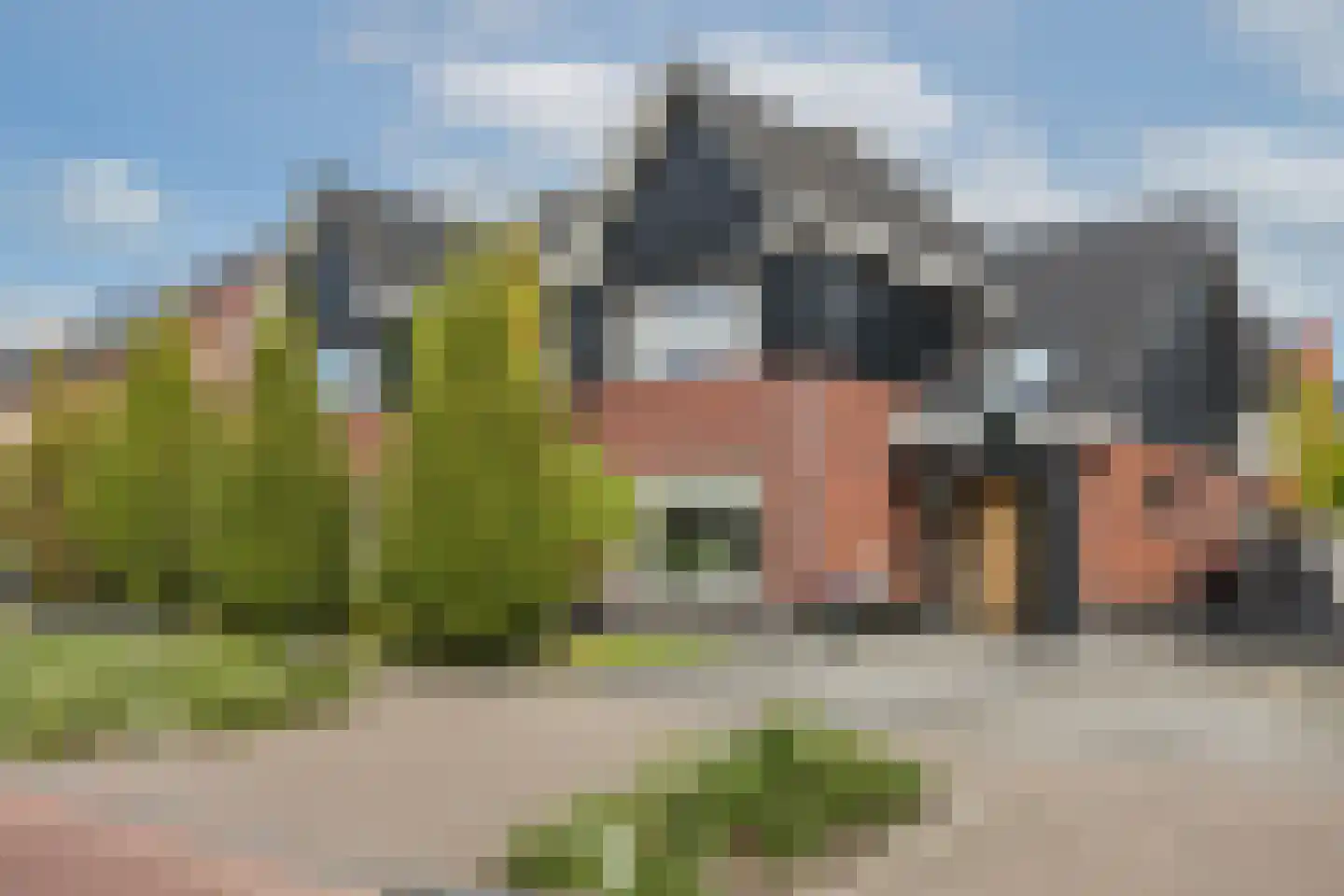 Timmusboer 7 in Ootmarsum