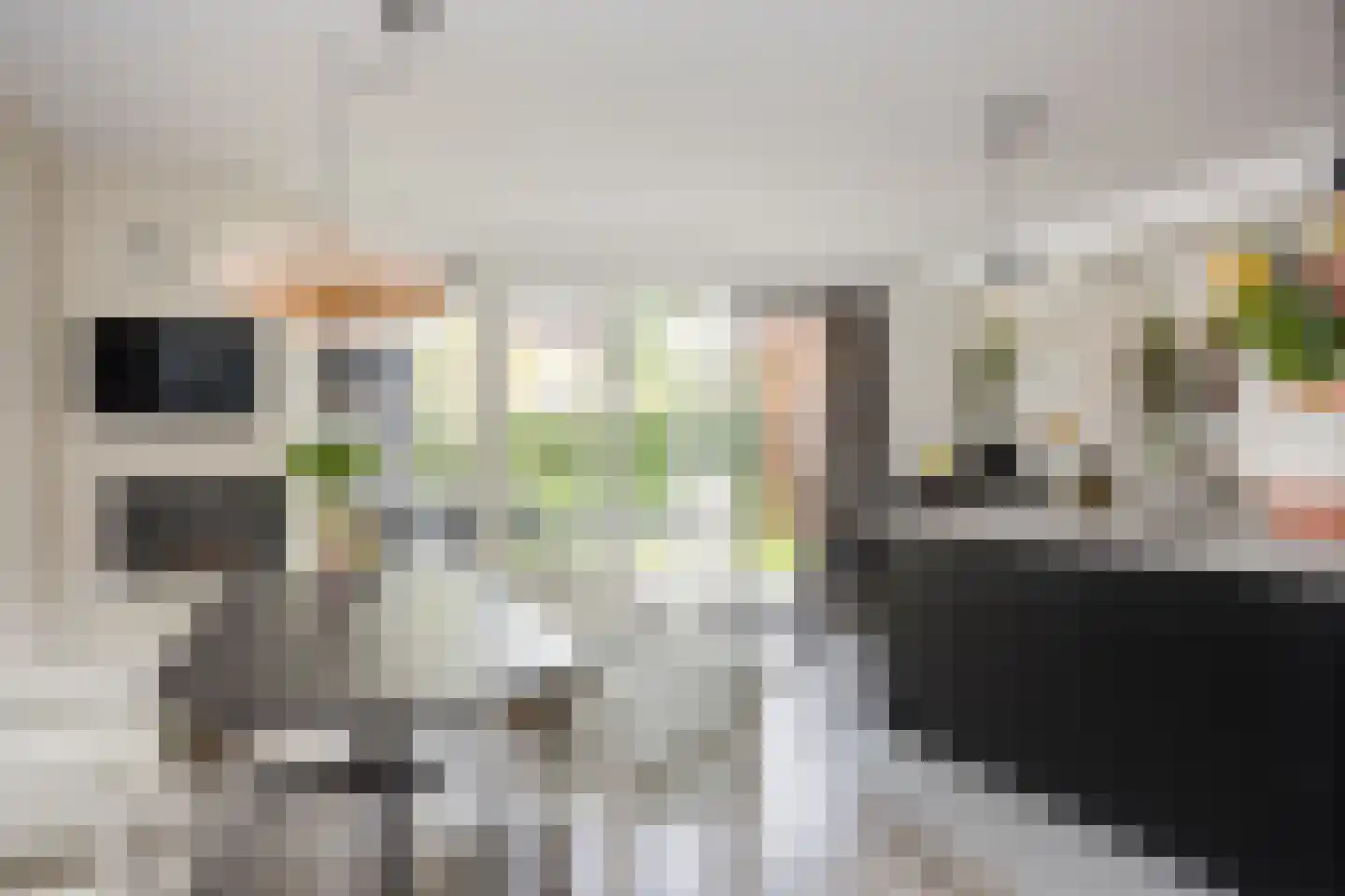 Timmusboer 7 Ootmarsum thumbnail 16