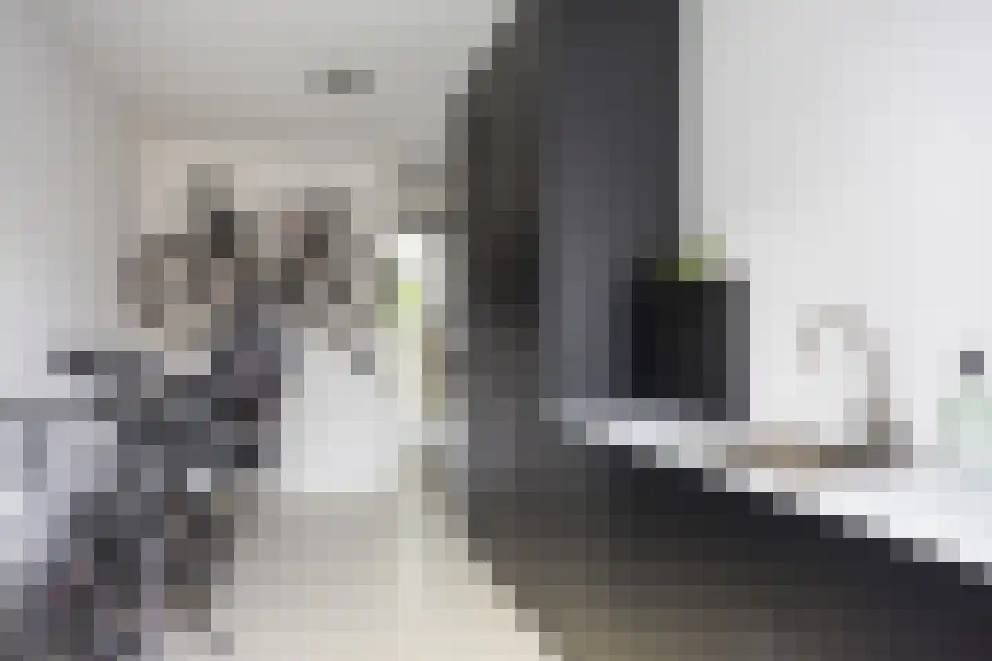 Timmusboer 7 Ootmarsum thumbnail 25