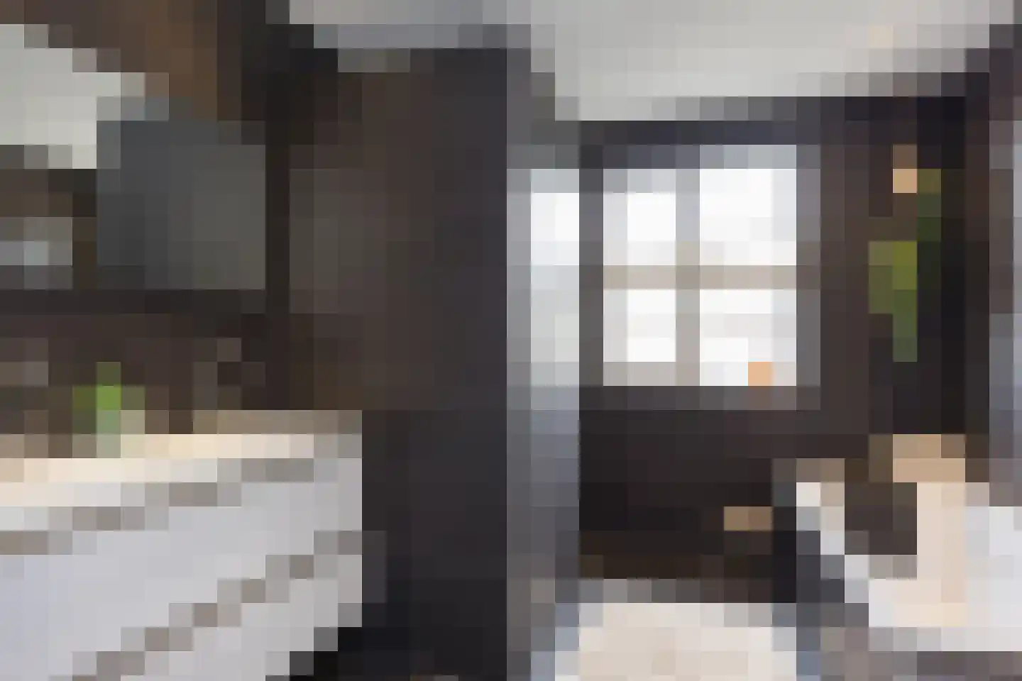 Timmusboer 7 Ootmarsum thumbnail 31