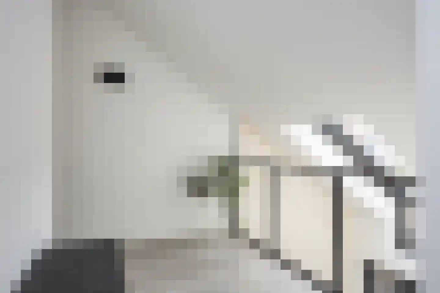 Timmusboer 7 Ootmarsum thumbnail 34