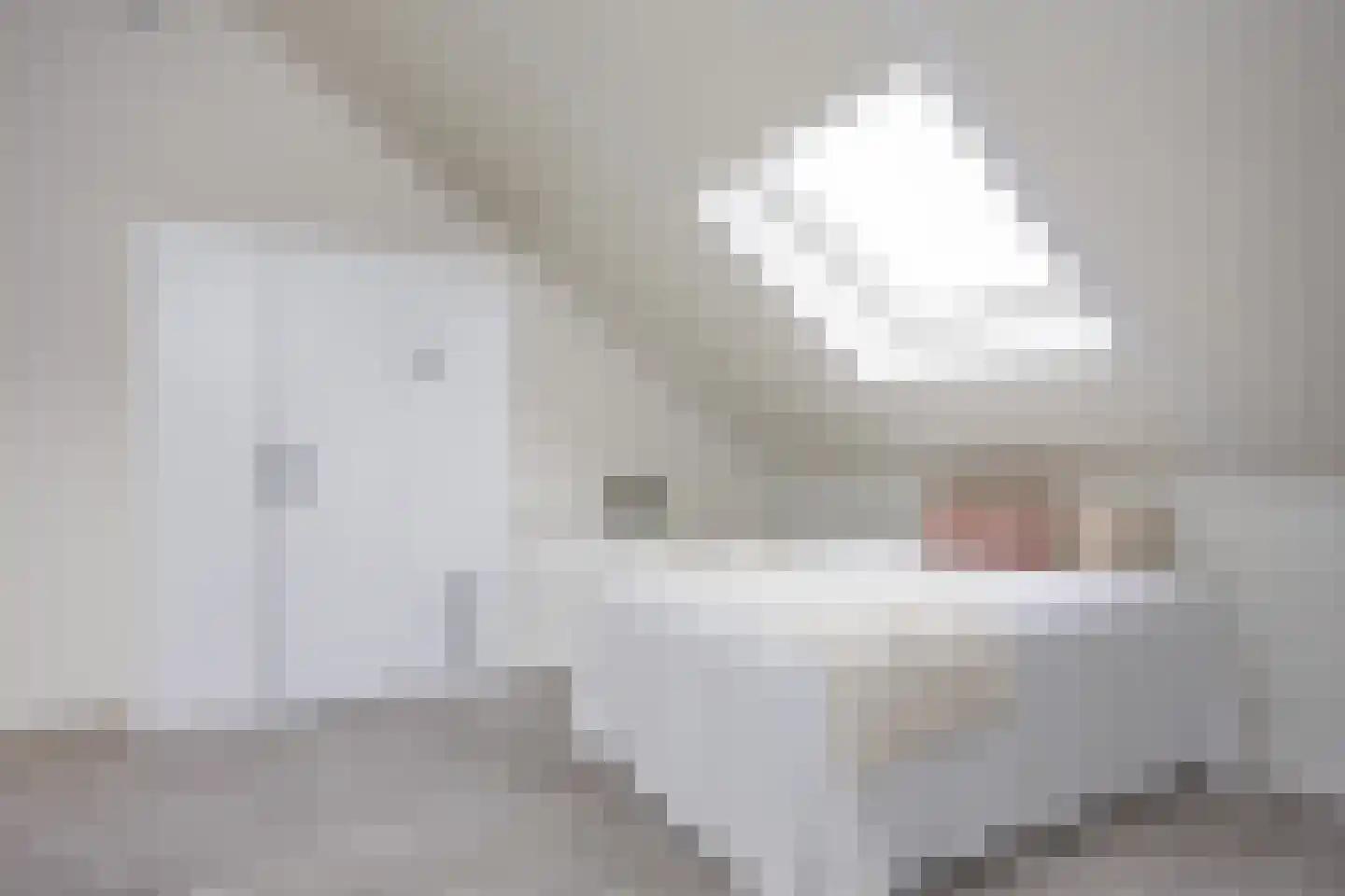 Timmusboer 7 Ootmarsum thumbnail 37