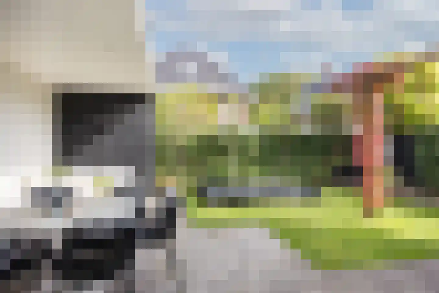 Timmusboer 7 Ootmarsum thumbnail 39