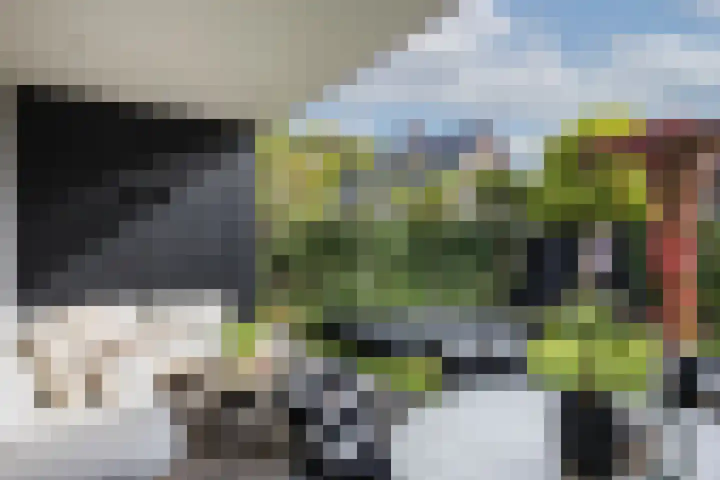Timmusboer 7 Ootmarsum thumbnail 40