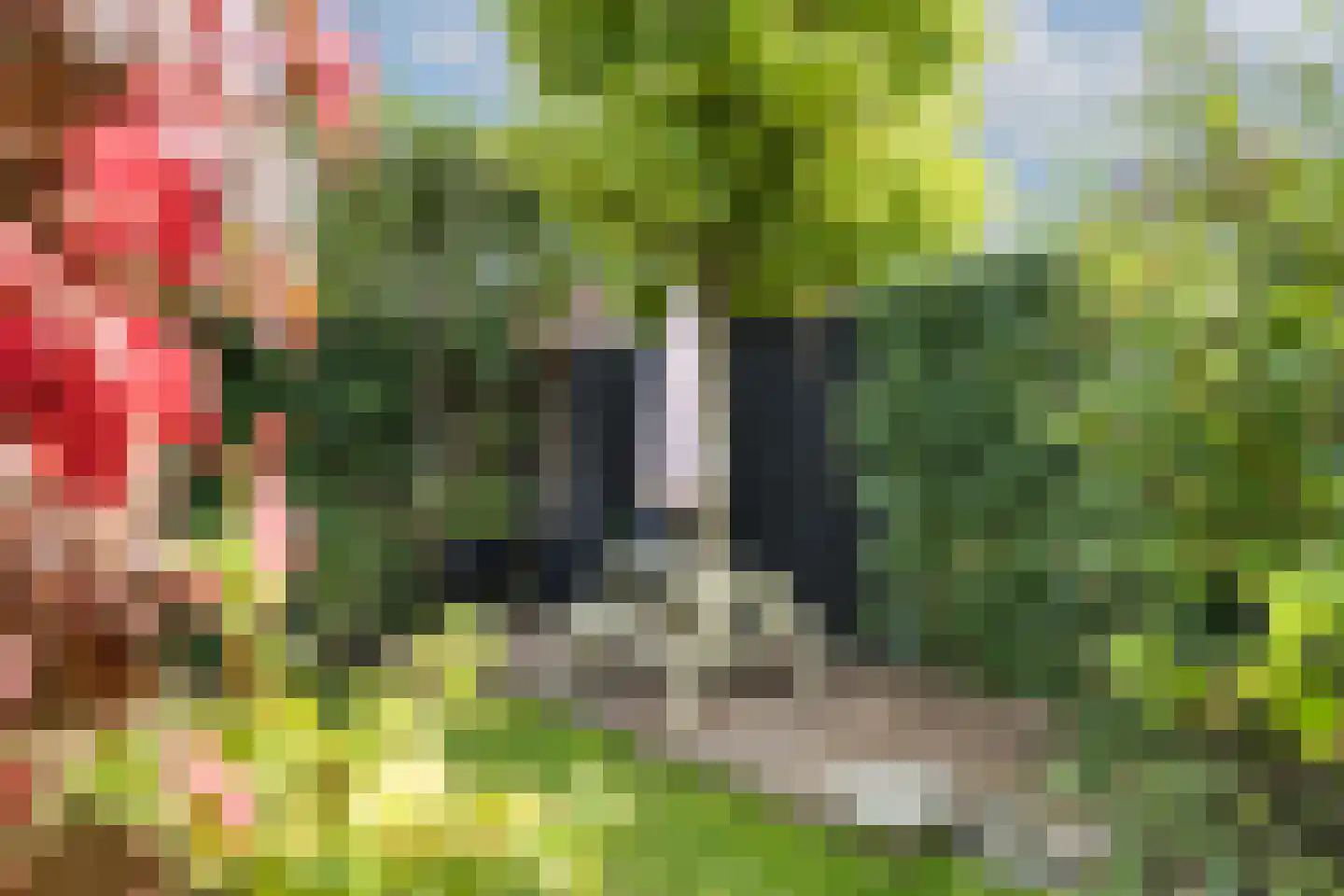 Timmusboer 7 Ootmarsum thumbnail 42