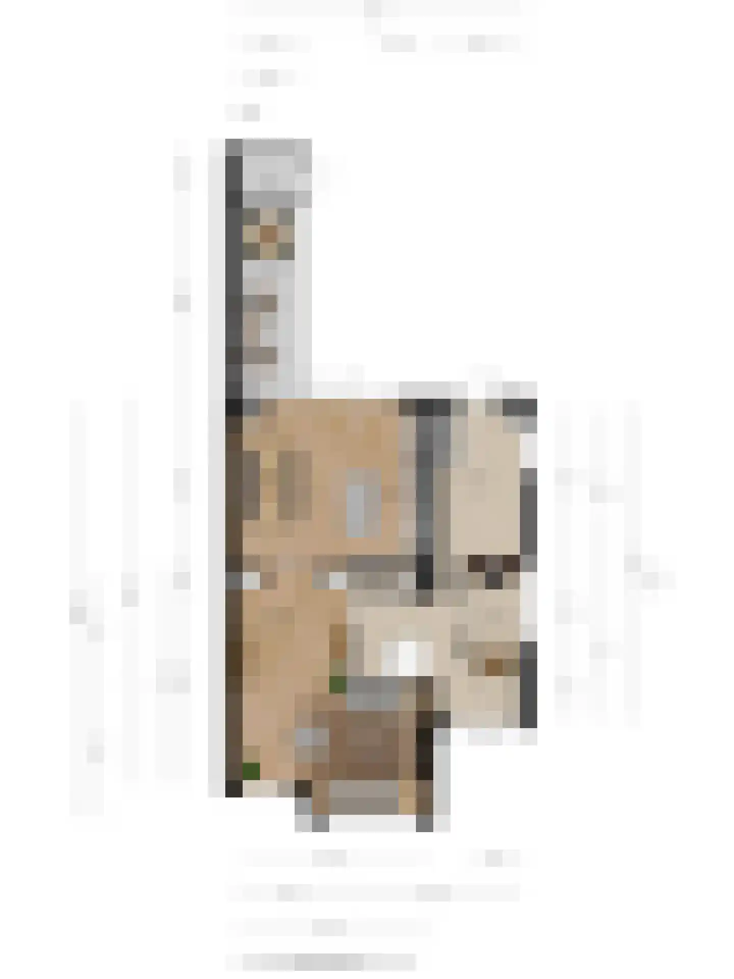 Timmusboer 7 Ootmarsum thumbnail 45