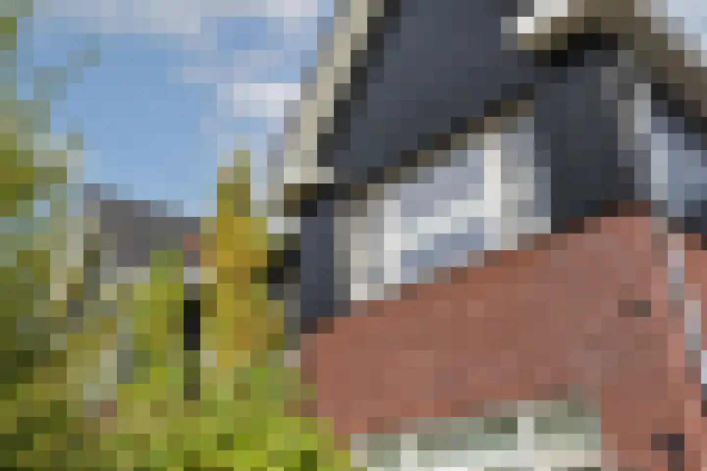 Timmusboer 7 Ootmarsum thumbnail 5