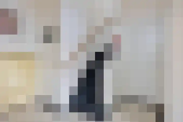 Timorlaan 1 A Den Helder thumbnail 16